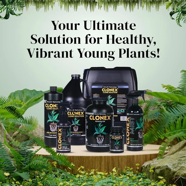 Clonex Rooting Gel in the propagation range